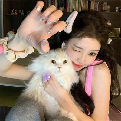 乱世王妃的锦绣路